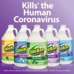 OdoBan Disinfectant Cleaner and Odor Eliminator Concentrate, Original Eucalyptus Scent, 1 gal - Image 4